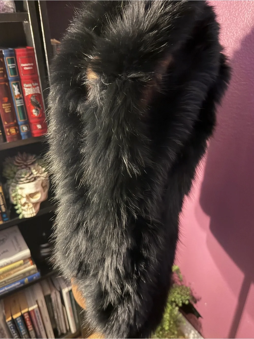 Luxurious Black Fox Fur Stole
